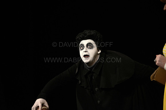 LTN-The Addams Family 5-19-16 Photo cr David A. Beloff 092