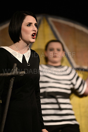 LTN-The Addams Family 5-19-16 Photo cr David A. Beloff 063