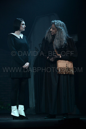 LTN-The Addams Family 5-19-16 Photo cr David A. Beloff 015