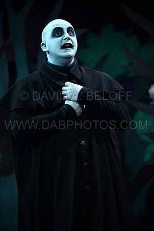 LTN-The Addams Family 5-19-16 Photo cr David A. Beloff 071