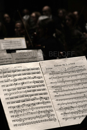 Symphonicity at Sandler 10-19-14 Photo cr David A. Beloff 350
