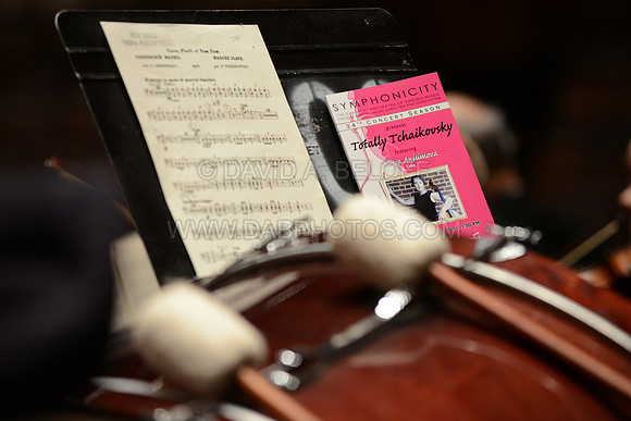 Symphonicity at Sandler 10-19-14 Photo cr David A. Beloff 318