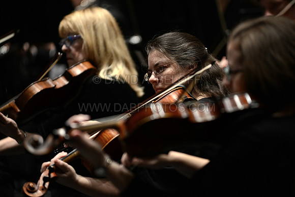 Symphonicity at Sandler 10-19-14 Photo cr David A. Beloff 374