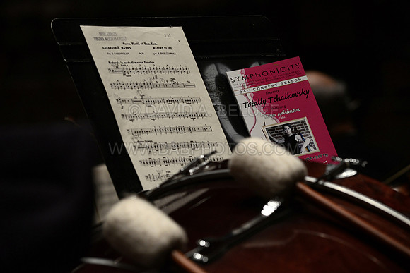 Symphonicity at Sandler 10-19-14 Photo cr David A. Beloff 317