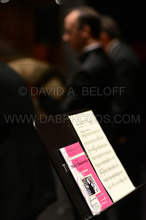 Symphonicity at Sandler 10-19-14 Photo cr David A. Beloff 313