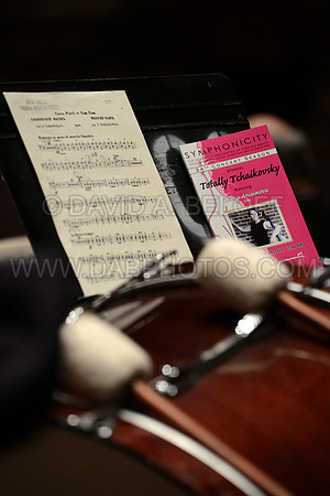 Symphonicity at Sandler 10-19-14 Photo cr David A. Beloff 316