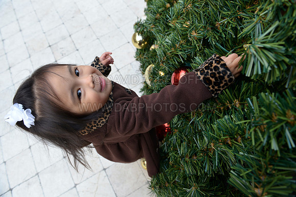 Ray & Laila Raquipiso 12-5-15 019