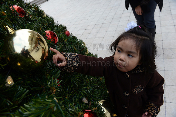 Ray & Laila Raquipiso 12-5-15 014