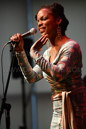 VAF-Nnenna Freelon at VAF Theatre 5-7-14 Photo cr David Beloff (1)
