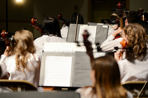 Bay Youth Orchestra at Wilder Center 1-25-14 Photo DAVID BELOFF© 166
