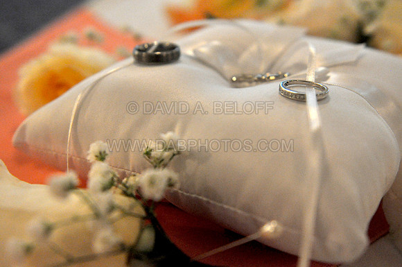1-Stephanie and Ben Wedding 7-7-12-Photo cright David A. Beloff (10)