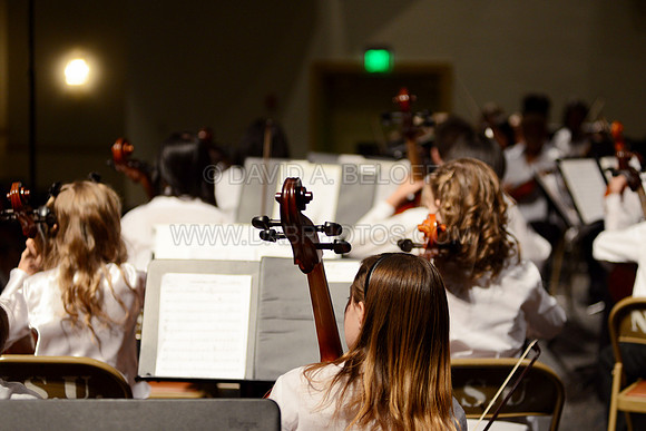 Bay Youth Orchestra at Wilder Center 1-25-14 Photo DAVID BELOFF© 165